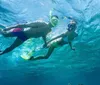 Two people are snorkeling in clear blue water observing underwater life