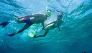 Two people are snorkeling in clear blue water, observing underwater life.