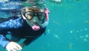 A person is snorkeling in clear blue waters, wearing a mask and snorkel.