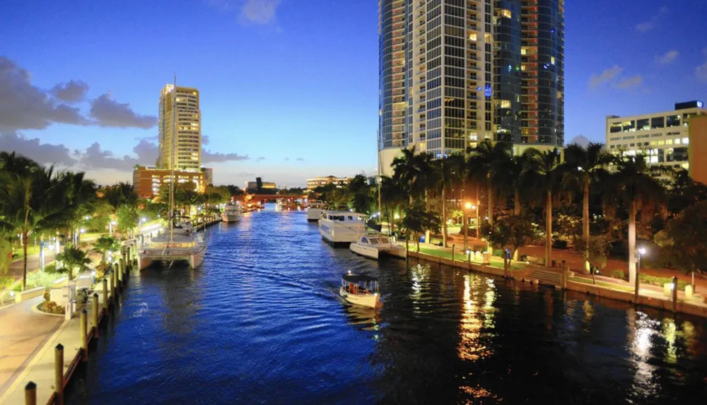 The image captures a tranquil dusk scene of a city waterfront with boats moored along a palm-lined promenade reflecting urban lights onto the blue waters