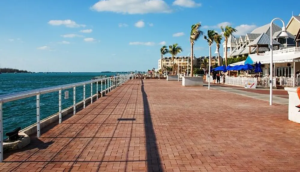 A coastal boardwalk lined with palm trees leads past outdoor seating areas and toward a serene ocean horizon under a blue sky punctuated by sparse clouds