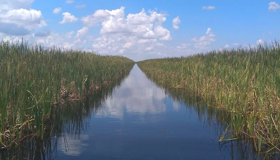 A straight waterway cuts through dense wetland vegetation under a blue sky dotted with clouds.