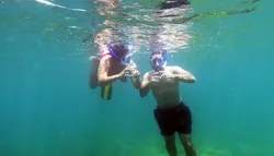 Popular Snorkeling & Diving