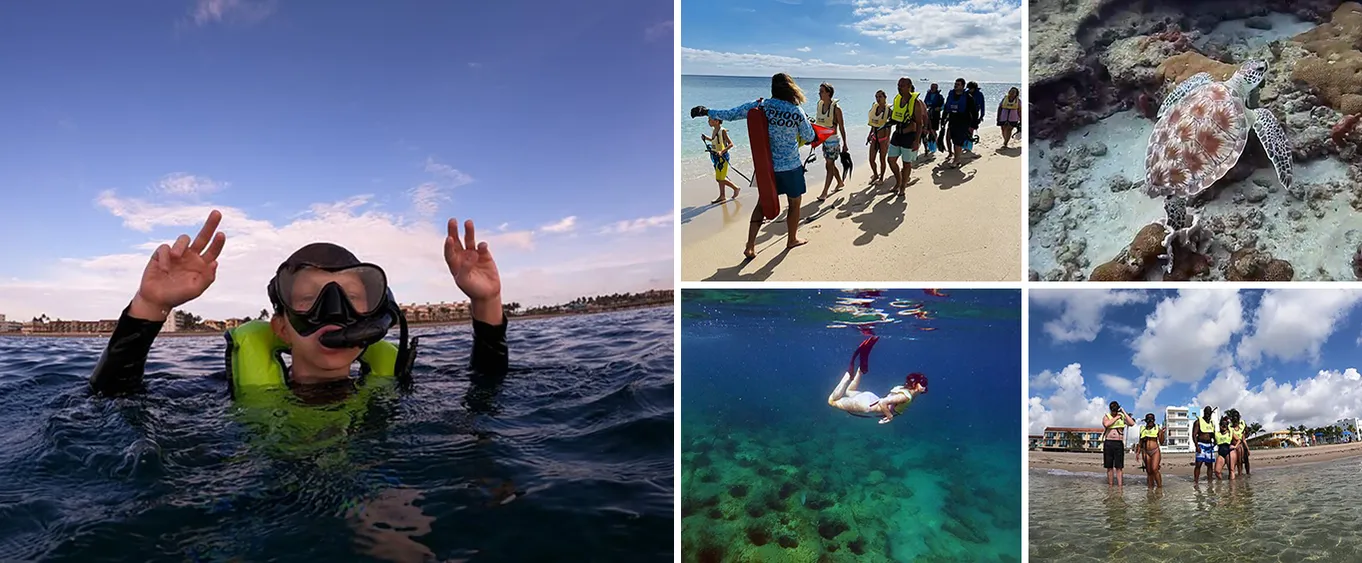 Public Guided Snorkel Tour of Fort Lauderdale's Reefs