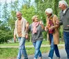 Four senior adults are enjoying a lively conversation while walking together in a green park