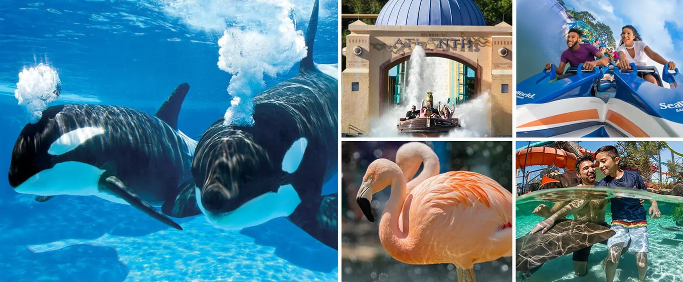 SeaWorld San Antonio: Get Tickets to San Antonio SeaWorld & Aquatica San Antonio Combo Tickets