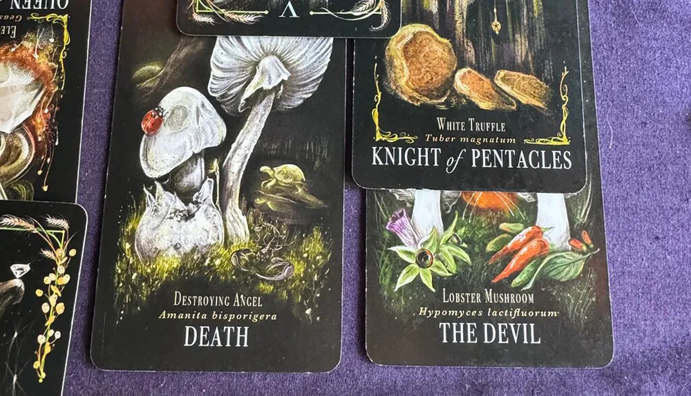 The image shows three tarot cards on a purple surface each featuring different types of mushrooms and corresponding to tarot card titles Death Knight of Pentacles and The Devil