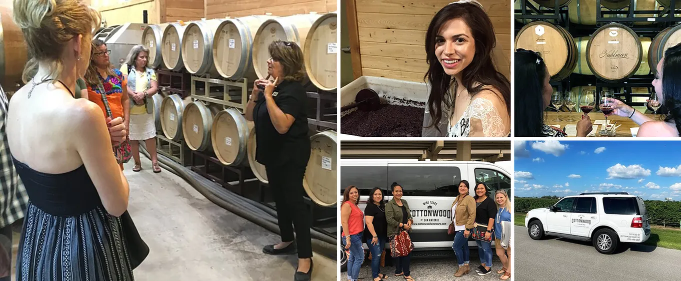 Fredericksburg Hill Country Aficionado Wine Tour from San Antonio