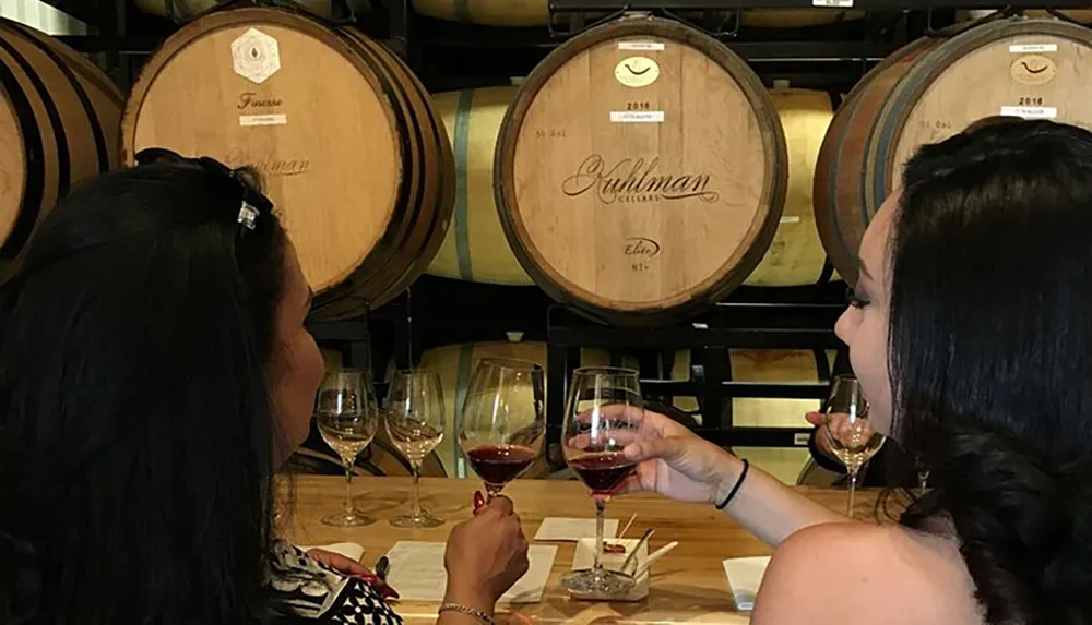 Two individuals are enjoying a wine tasting session in front of wooden wine barrels