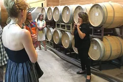 Popular Winery Tours