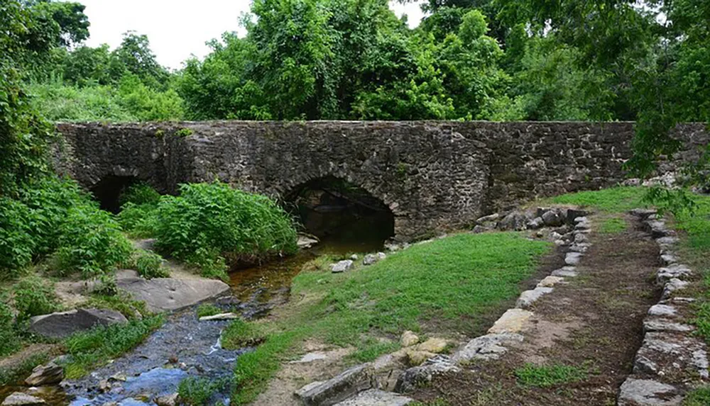 An old stone bridge with two arches spans a small stream surrounded by verdant foliage