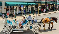 Popular Carriage Tours