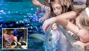 Children are seen delightfully interacting with aquatic animals, touching a ray in a touch pool and meeting penguins in an inset image, reflecting an educational and engaging experience at an aquarium.