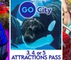 The image is a promotional collage for a city attractions pass featuring people enjoying a dinner cruise a close-up of an orca underwater and individuals experiencing thrill on a roller coaster