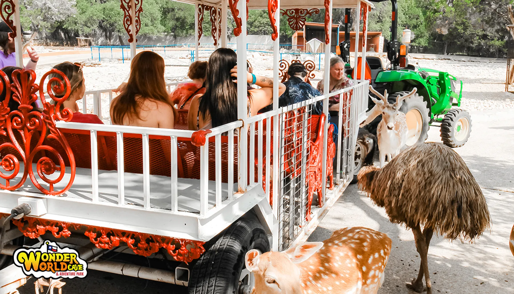 A tractor is pulling a wagon carrying people, with several animals including a deer and an emu gathered around it in what appears to be a park setting.