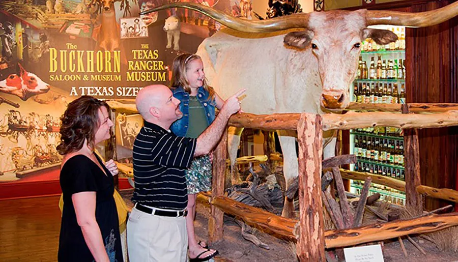 A family is admiring a large taxidermied steer on display at The Buckhorn Saloon & Museum, with the child enthusiastically pointing at it.