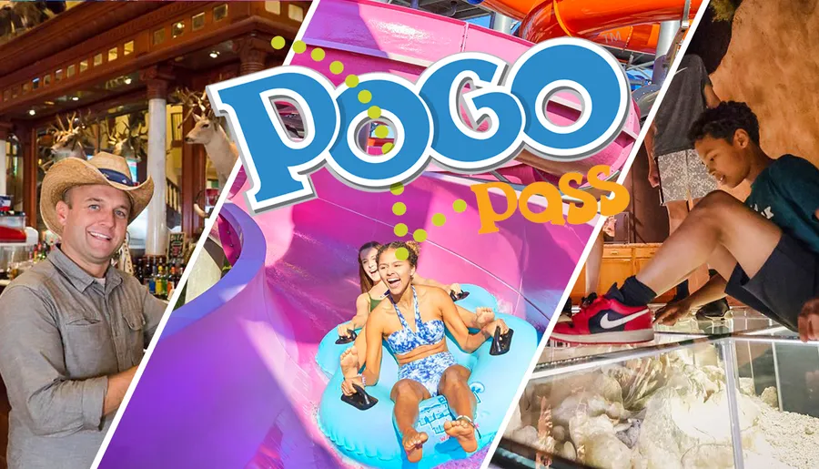 The image features an evening cityscape with illuminated buildings, light trails from moving vehicles on the streets, and a prominent tower, overlaid with the words Pogo Pass.
