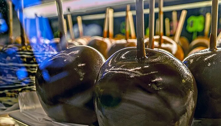 The image depicts a row of glossy chocolate-coated apples on sticks, likely on display at a confectionery or fair.