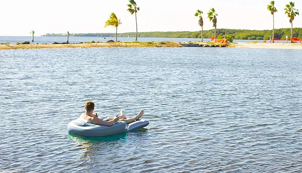 A person is relaxing on an inflatable ring in calm waters near a tropical shoreline with palm trees