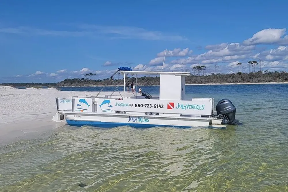 A pontoon boat is moored along a sandy beach under a clear sky with a person seen sitting at the rear of the boat