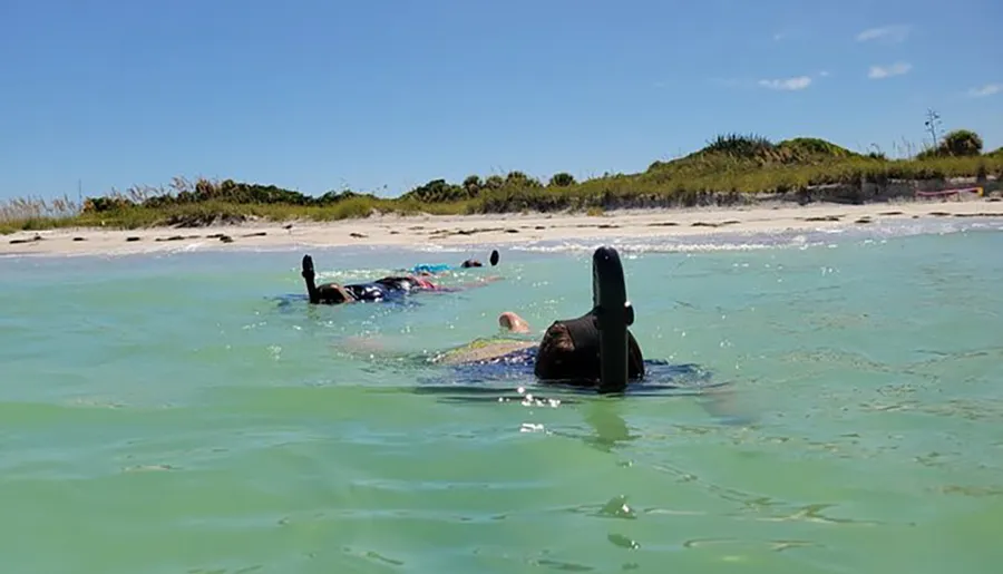 People are snorkeling in clear shallow waters near a sandy beach under a sunny sky.