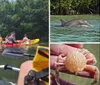 A group of people are enjoying kayaking in calm waters surrounded by lush greenery