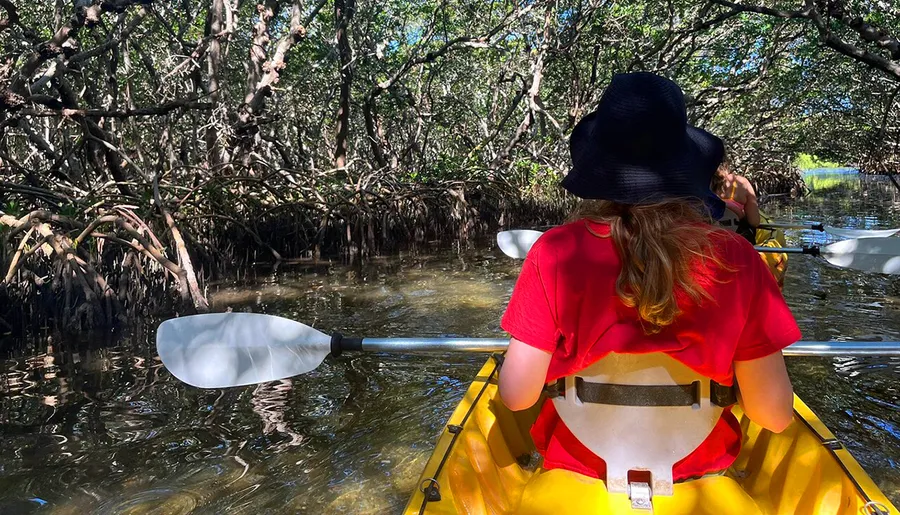 A person in a red shirt and black hat is kayaking through a mangrove forest.