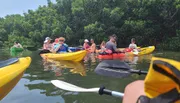 A group of people are enjoying kayaking in calm waters surrounded by lush greenery.