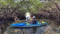 2h Rental Paddleboard Or Kayak in Treasure Island to John's Pass Photo