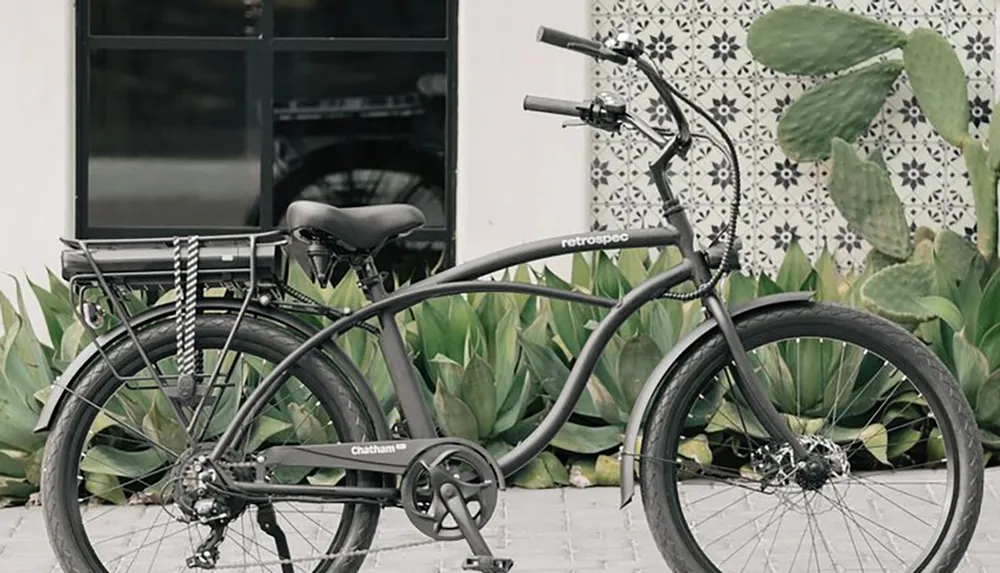 A matte black cruiser bicycle is parked in front of a patterned wall with a large cactus plant to the side