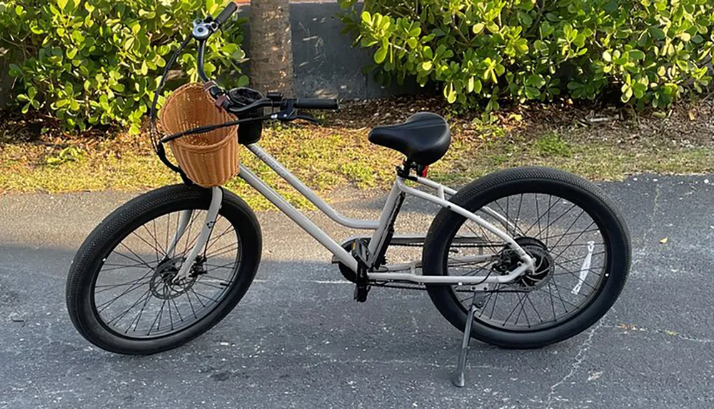 The image features a silver cruiser bicycle with black fat tires and a wicker basket attached to the handlebars parked on a paved surface with green shrubbery in the background