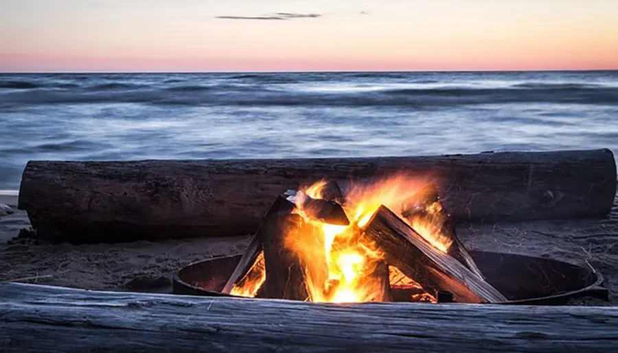 A crackling beach bonfire is set against a blurred, dreamy seascape under a dusky sky.