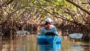 A person wearing a cap and a shirt with a logo on the back is kayaking down a tranquil waterway surrounded by a mangrove forest.