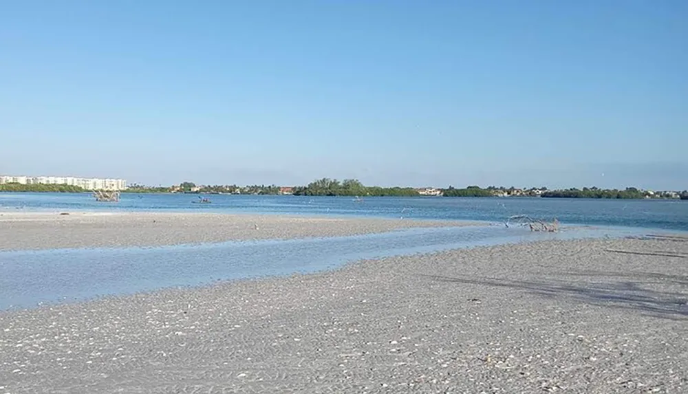 The image shows a tranquil beach scene with clear shallow waters seabirds and distant buildings along the coastline under a clear blue sky