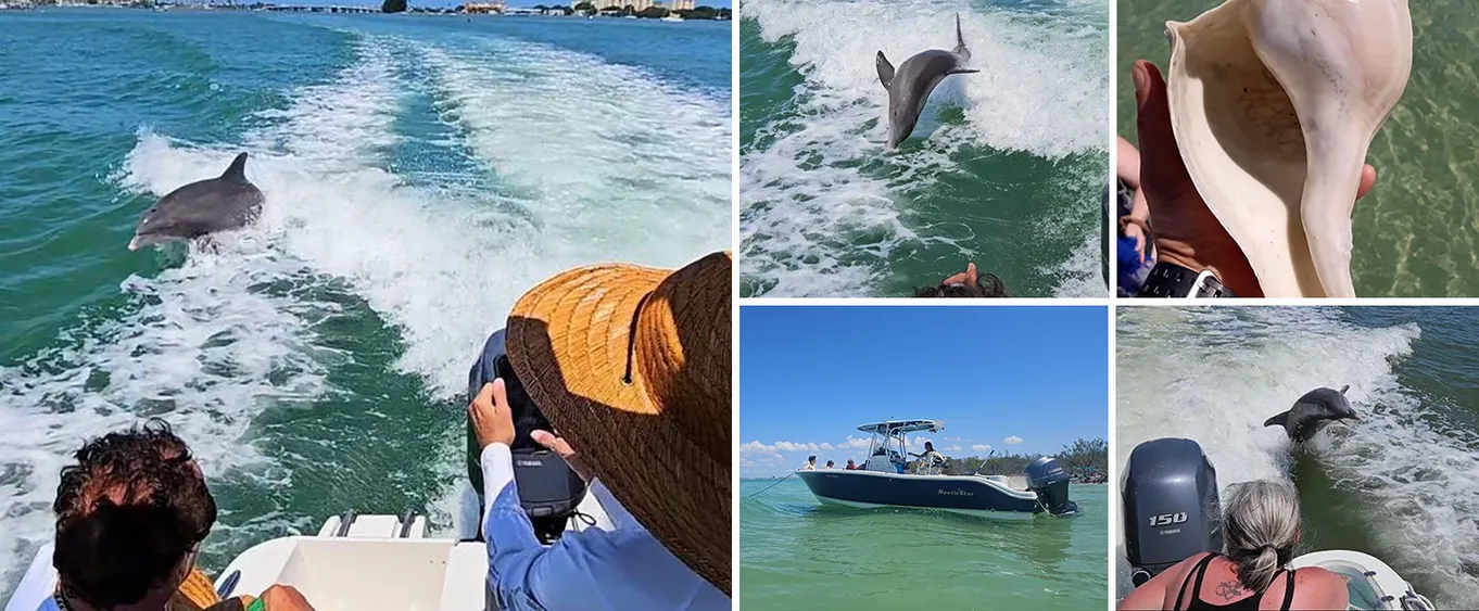 Dolphin Shelling and Eco Tour Out of Madeira Beach Fl