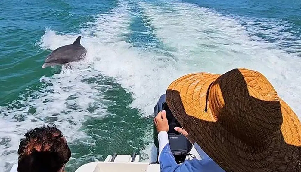 Two people are watching a dolphin leap out of the water behind their boat