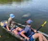 Two kayakers are enjoying a sunny day on the water with a dolphin swimming close by