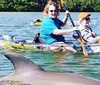 Two kayakers are enjoying a sunny day on the water with a dolphin swimming close by