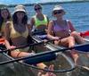 Two kayakers are enjoying a sunny day on the water with a dolphin swimming close by