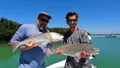 Half Day Fishing Charter in St. Petersburg Florida Photo