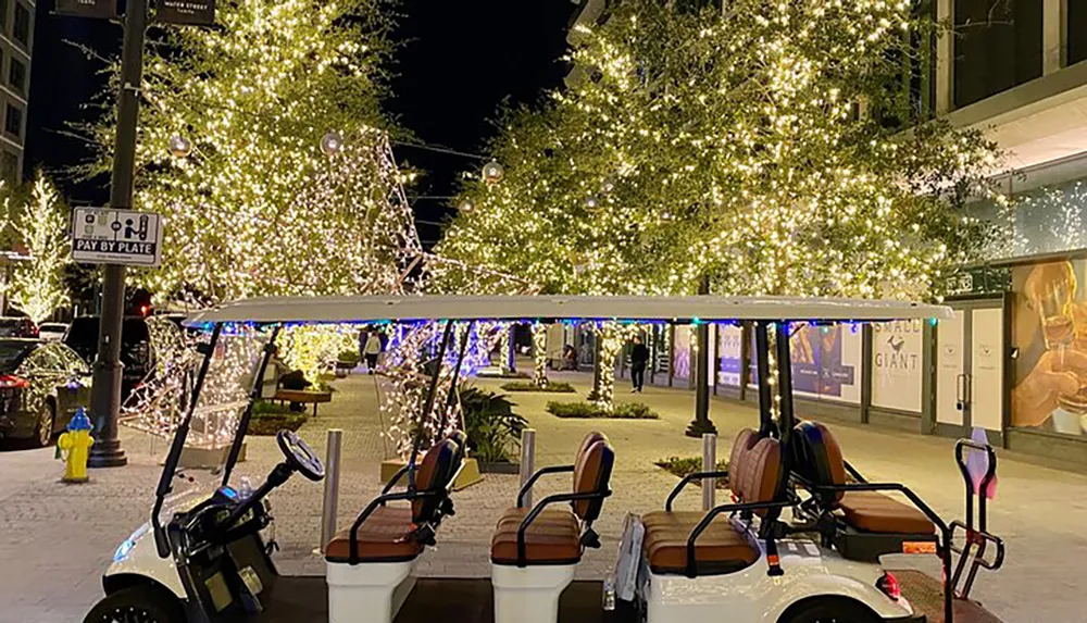 A golf cart is parked on a festively illuminated street at night with trees wrapped in bright fairy lights creating a cheerful atmosphere