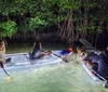 Four people are night kayaking in clear-bottomed boats over luminescent underwater vegetation