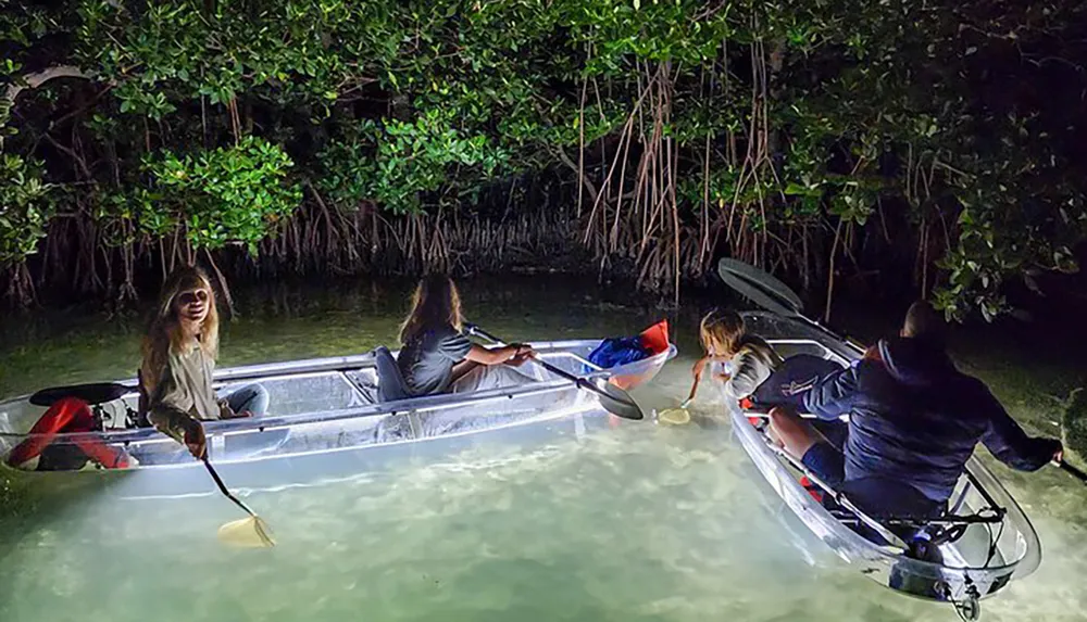 A group of people are night kayaking in clear canoes illuminated by underwater lights near a mangrove forest