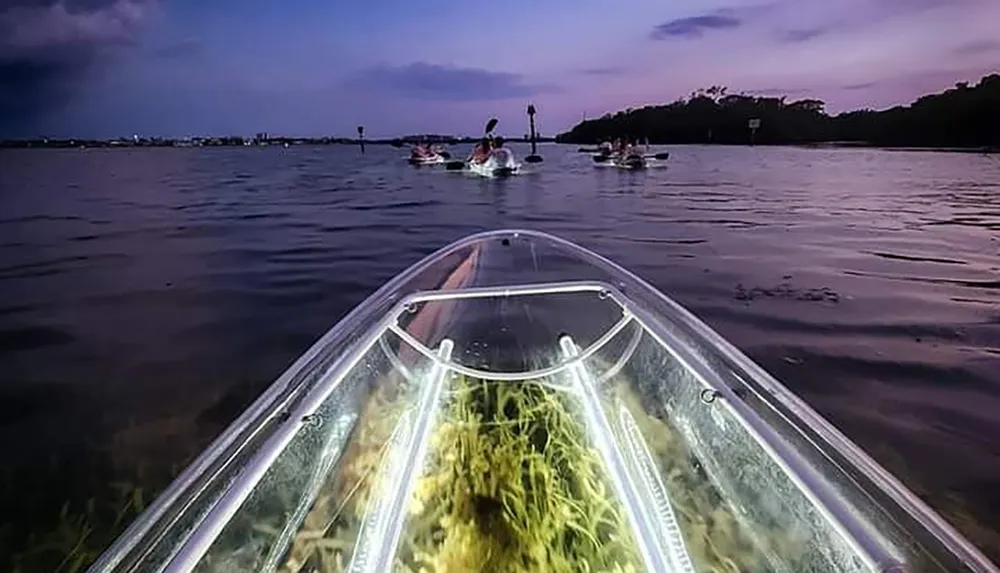 A group of people paddle in clear kayaks at dusk providing a view of the underwater environment