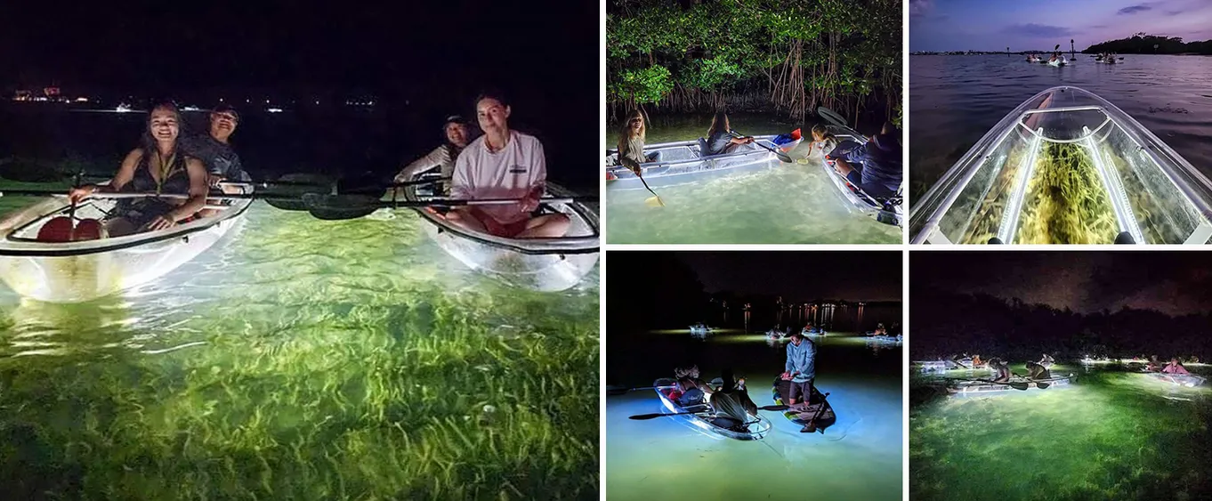 Clear Kayak Led Night Glass Bottom Tour - St Pete