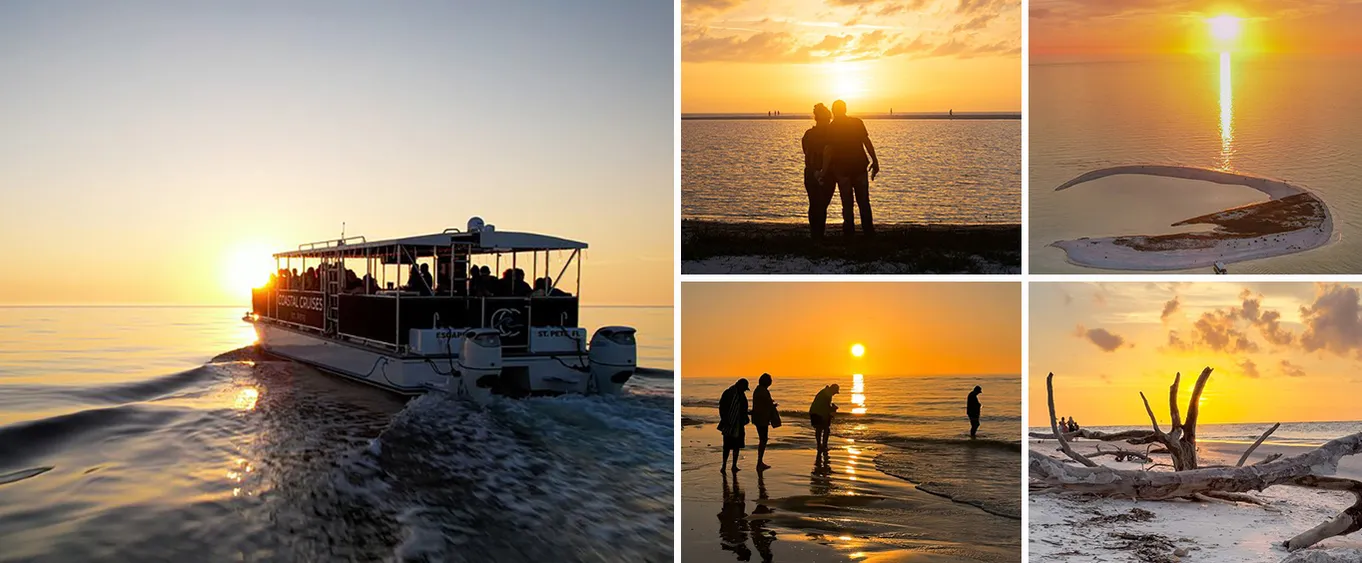 St. Pete Dolphin Watching and Island Sunset Cruise