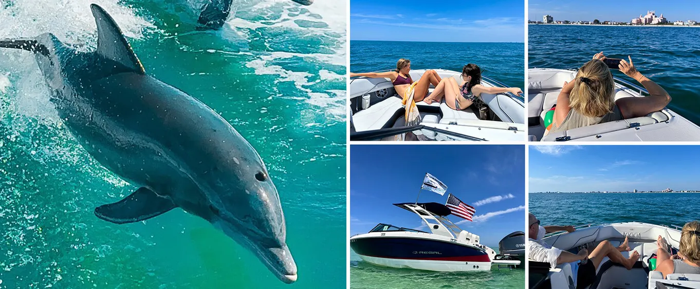 2 Hours Private Dolphin Eco Bout Tour to St Pete Beach Florida