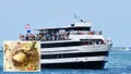Tampa Lunch & Dinner Cruises aboard the Starlite Majesty of Clearwater Beach, FL Photo