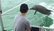 A person is watching a dolphin leaping out of the water near the side of a boat.