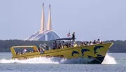 A yellow tour boat adorned with dolphin graphics speeds through the water with passengers on board, with a large cable-stayed bridge visible in the background.
